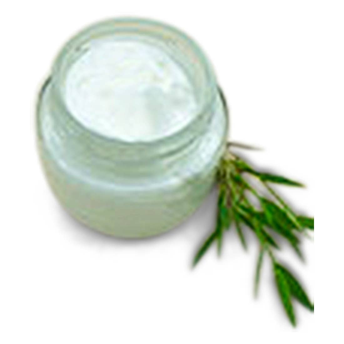 Kleine Auszeit Manufaktur - Wholesale Body Cream/Lotion - PINA COLADA CREAM - 50 ml0