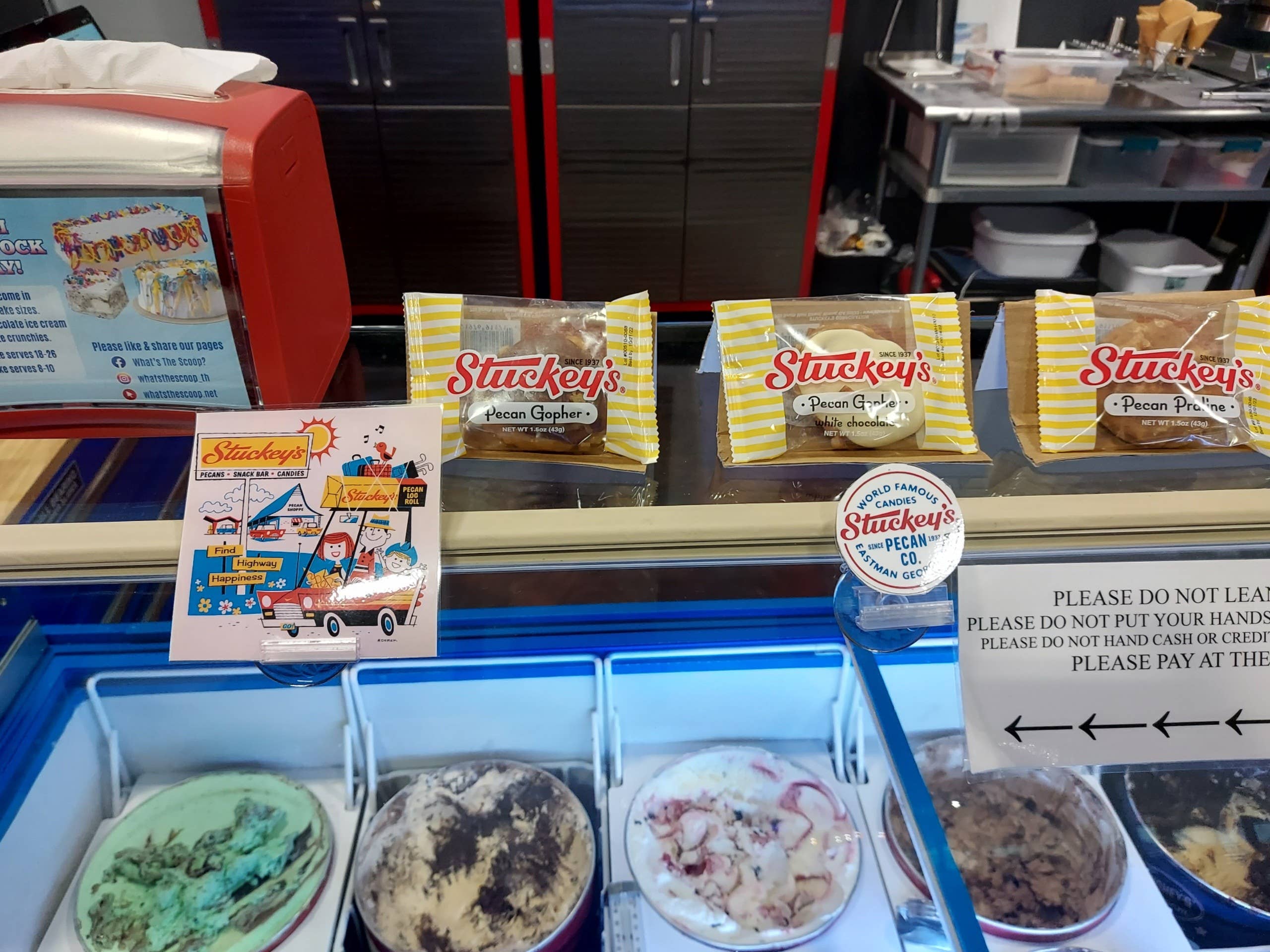 Stuckey's - Wholesale Chocolate Covered Sweets - Milk Chocolate Gopher7