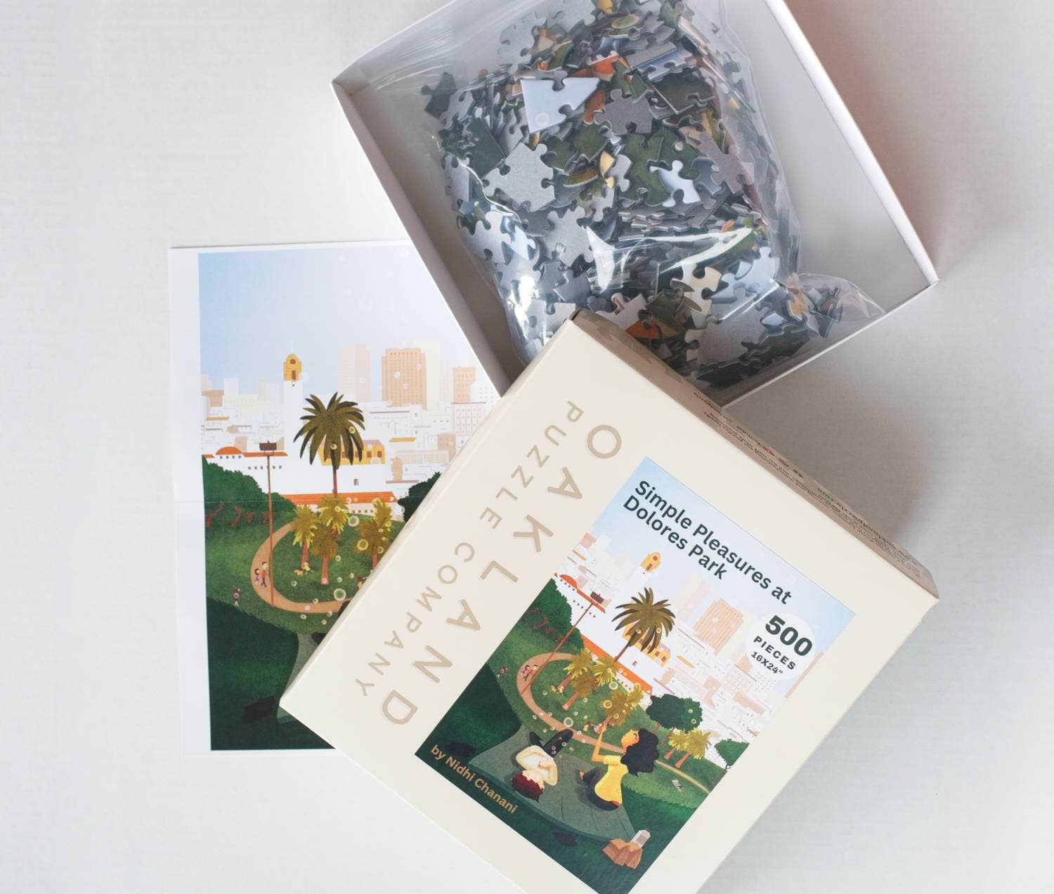 Oakland Puzzle Company - Wholesale Puzzle - Adult - Simple Pleasures at Dolores Park 500-Piece Jigsaw Puzzle 1