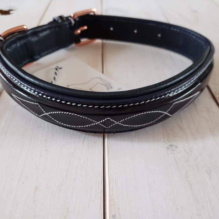 Pup & Pony Co. - Wholesale Pet collar – Dog - The Grand Prix Special Collar5