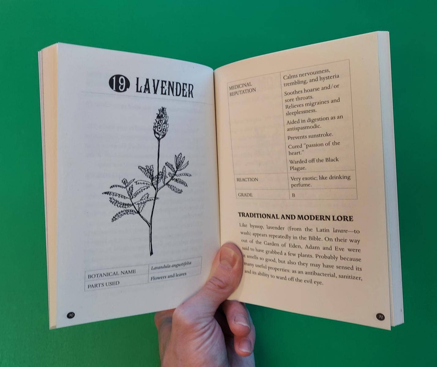 Microcosm Publishing & Distribution - Wholesale Nature & Outdoors Book - Everyday Herbal Teamaking: Health, Fun, and Self-Care Guide4