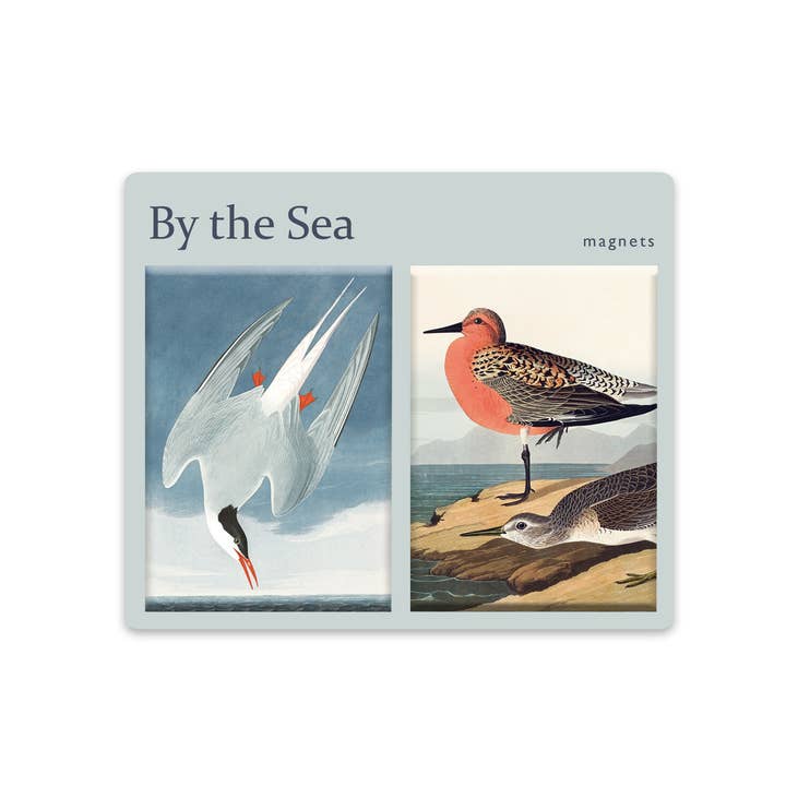 NLMAGSET03 - By The Sea for wholesale by Nelson Line