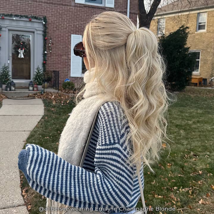 INH Hair - Wholesale Hair Clip - Women's - Emily | Half up Half Down Mini Claw Clip Pony25