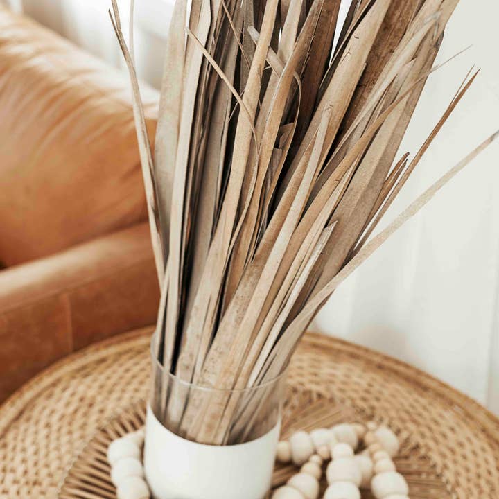 The Blooming Palm - Wholesale Retailer Sample - Home Decor - 28" Dried Loose Leaf Bundle Palm Leaves4