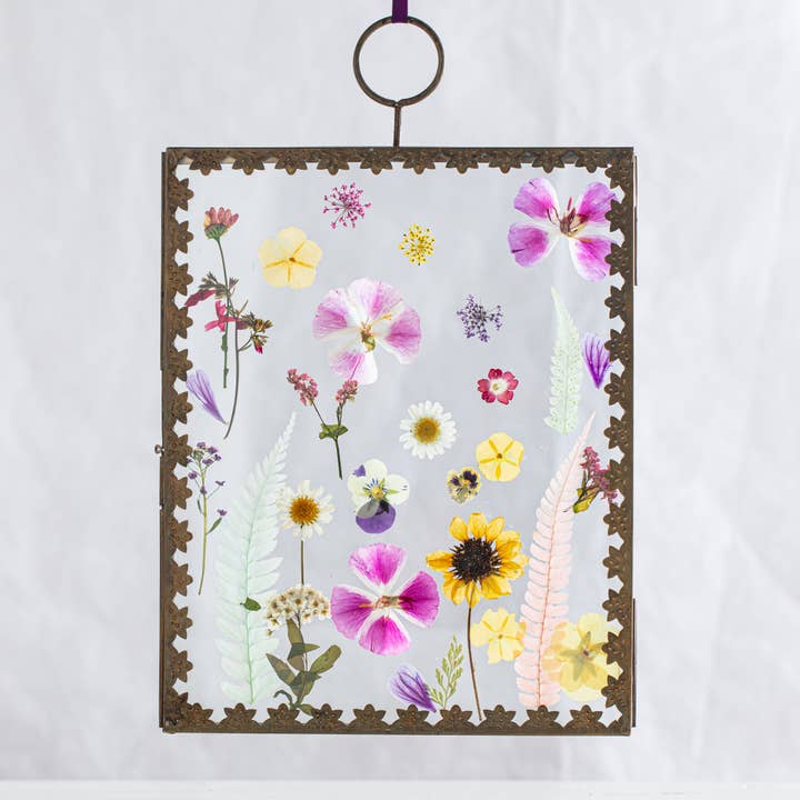 Rosy Rings - Wholesale Dried/Pressed Flowers - Spring Meadow Mix Small Pressed Floral Packet