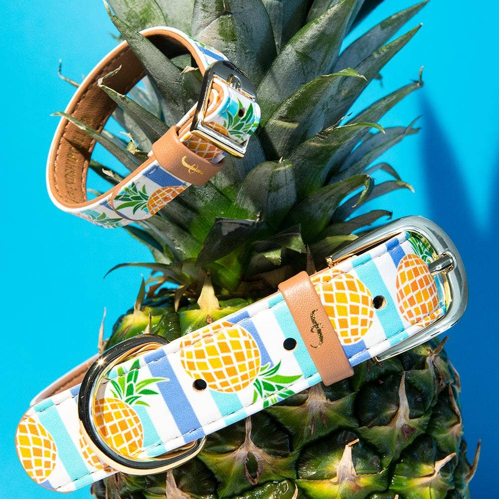 Friendship Collar – wholesale Pet collar – Dog – Pina Collarda8