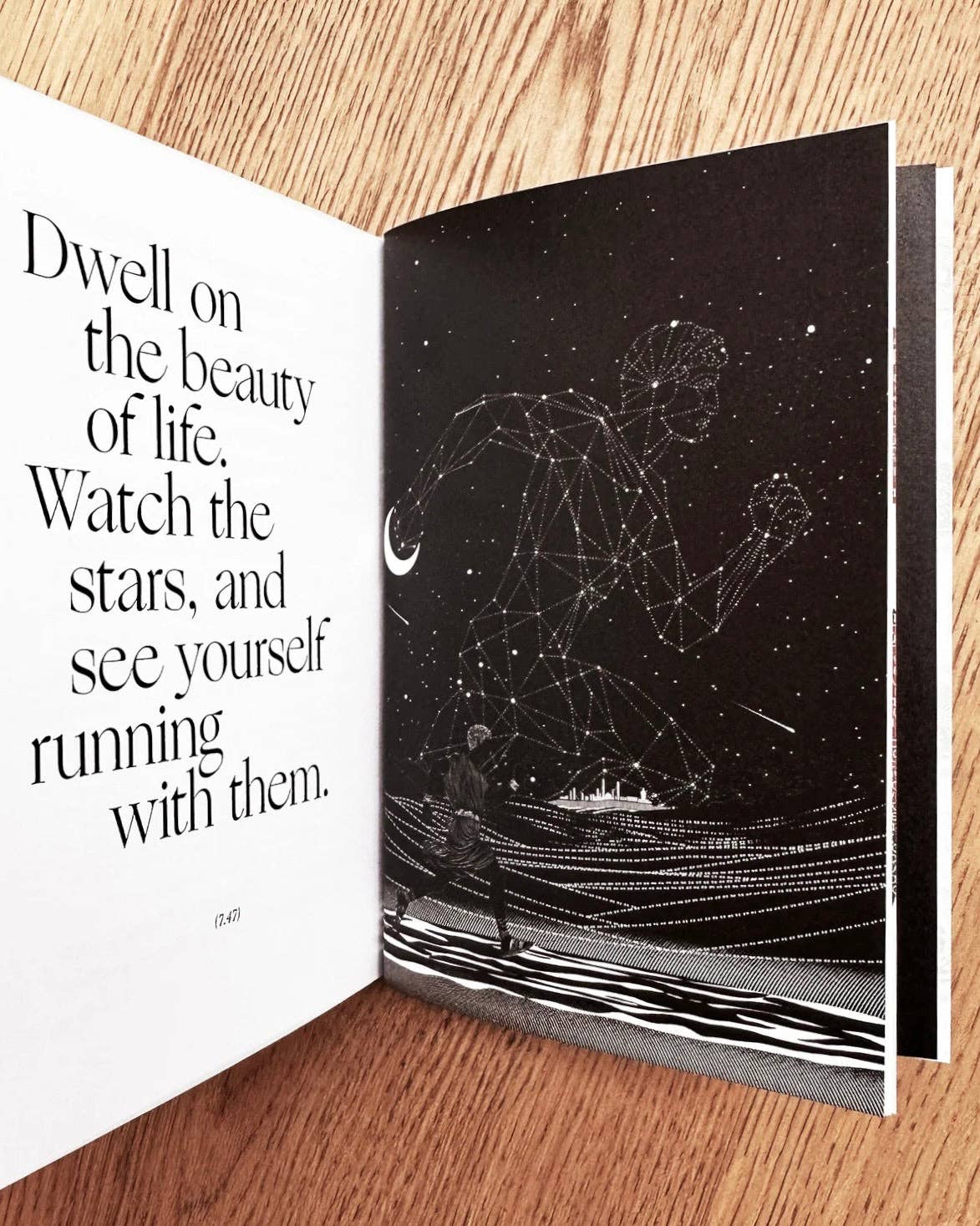 Obvious State - Wholesale Philosophy Book - The Meditations, Marcus Aurelius3