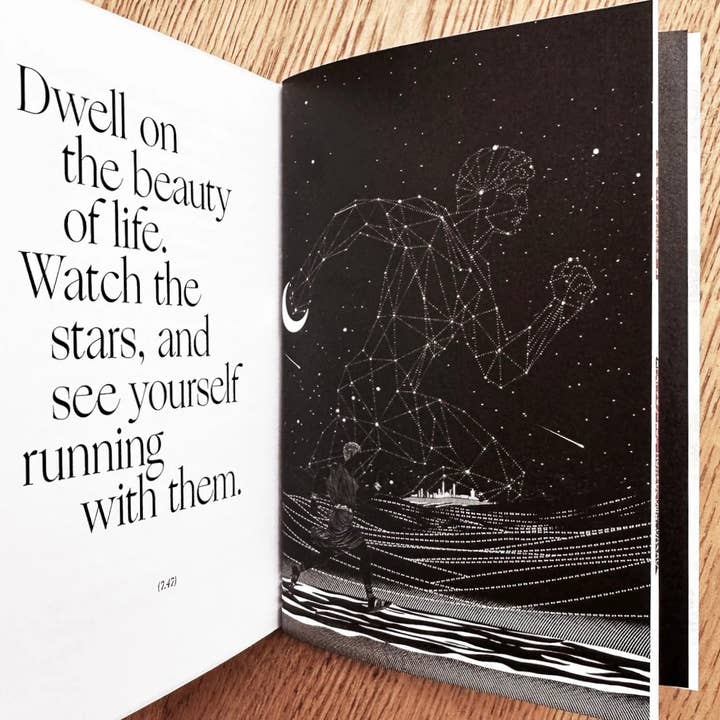 Obvious State - Wholesale Philosophy Book - The Meditations, Marcus Aurelius3