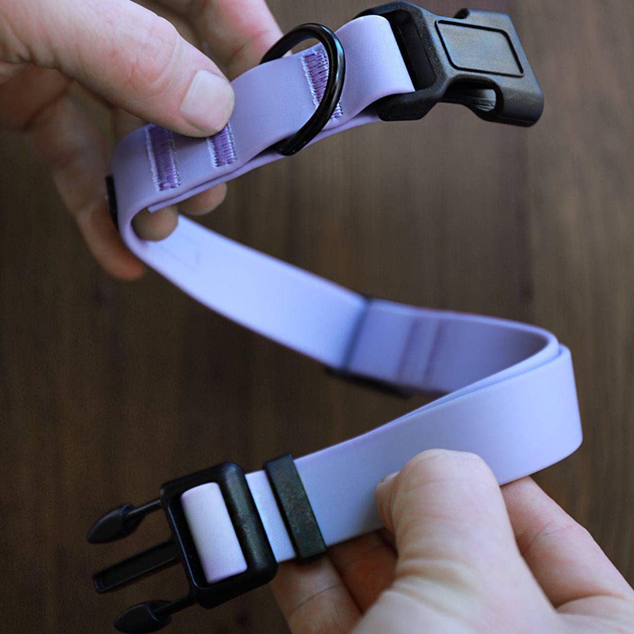 Besties Pets - Vente Collier – chien - Collier pour chien ajustable imperméable bleu ciel2