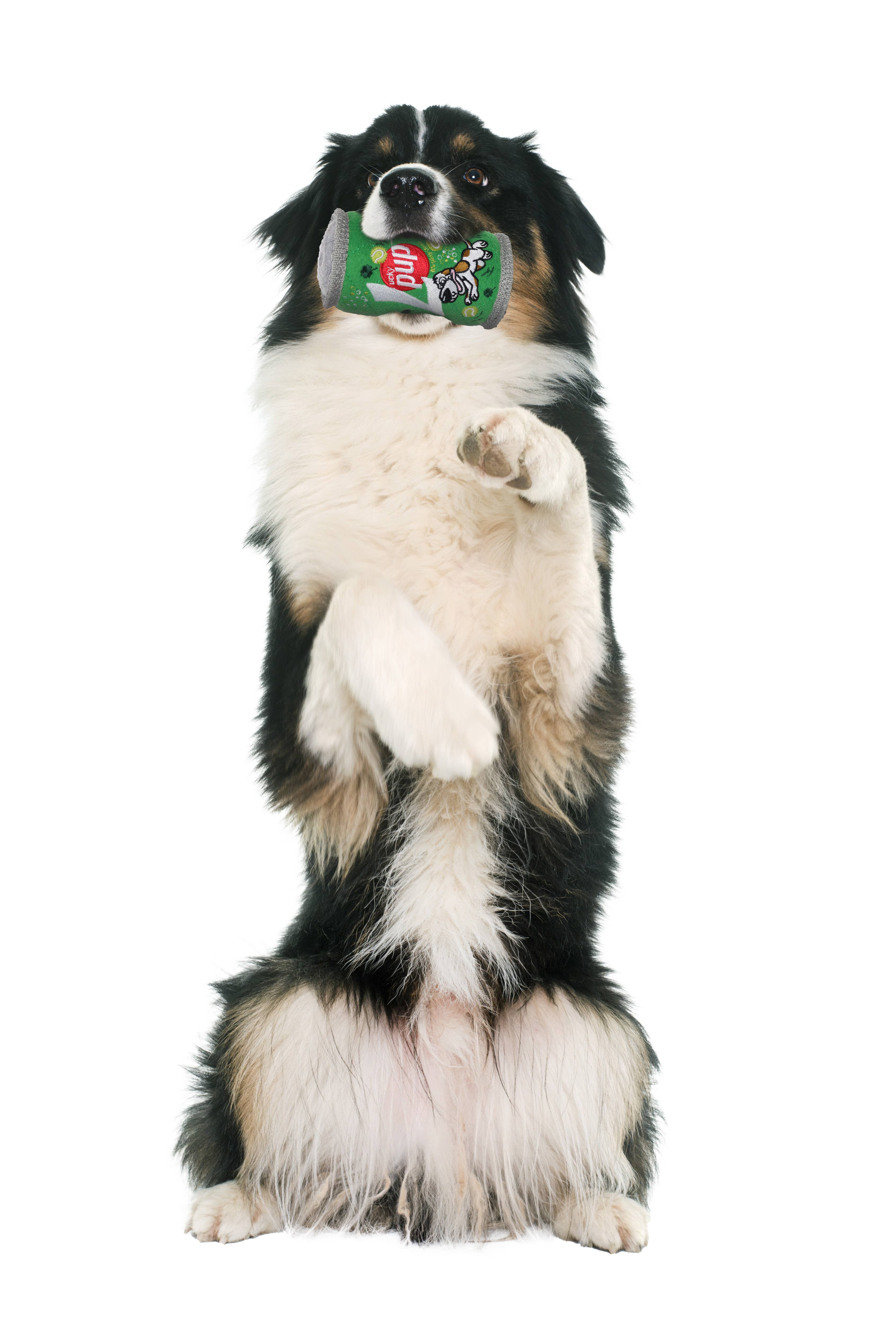 Tuffy Dog Toys - VIP Products - Wholesale Pet Squeaky Toy - Dog - Tuffy® Beer & Soda Can - Smella Arpaw, Squeaky Dog Toy9