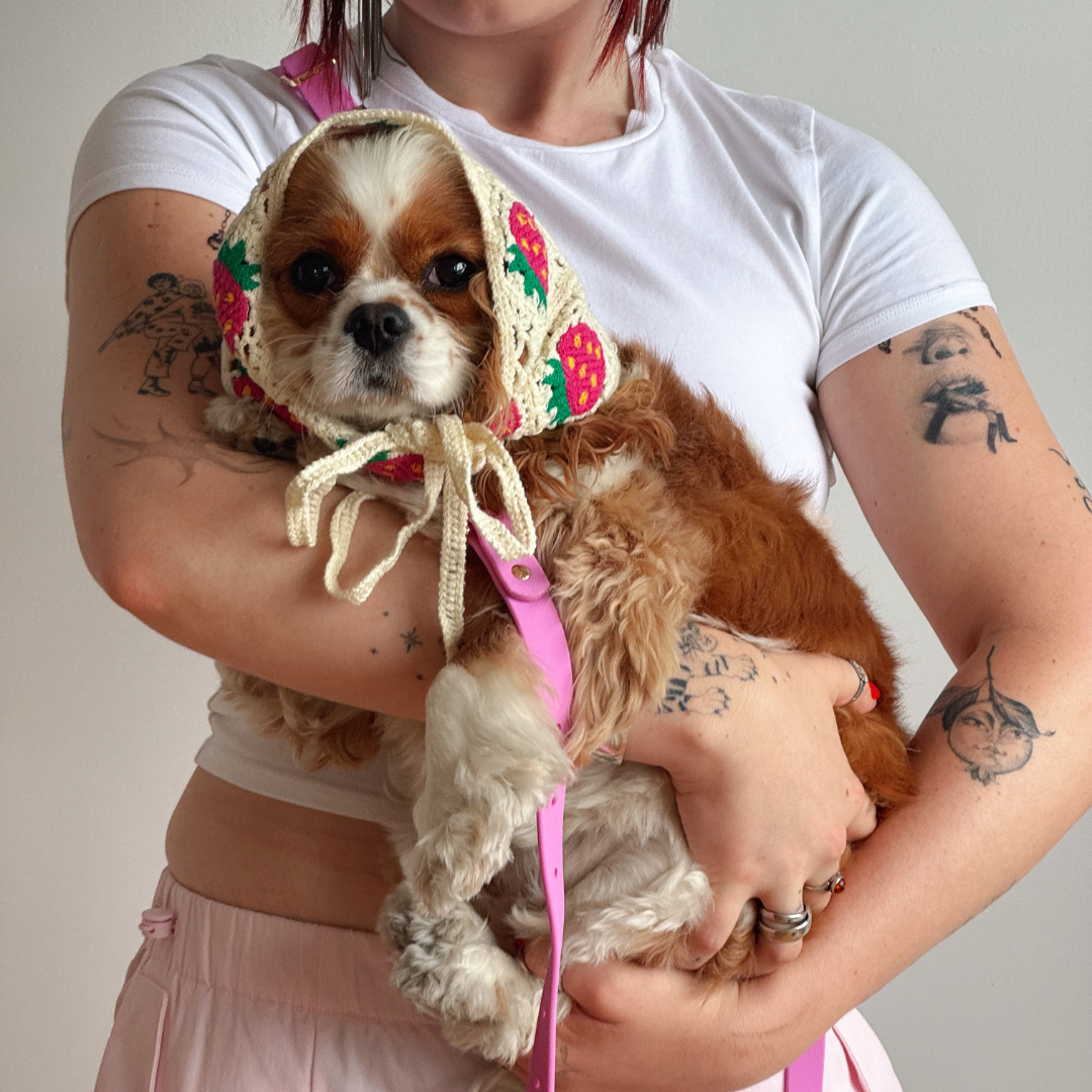 Furei Pets - Wholesale Pet Leash - Dog - Moodies 4-in-1 Leash1