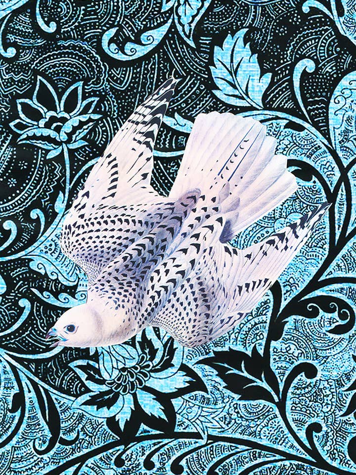 Carte de vœux écologique Falcon pour tous les jours pour la vente par Diana Wilson Arcana