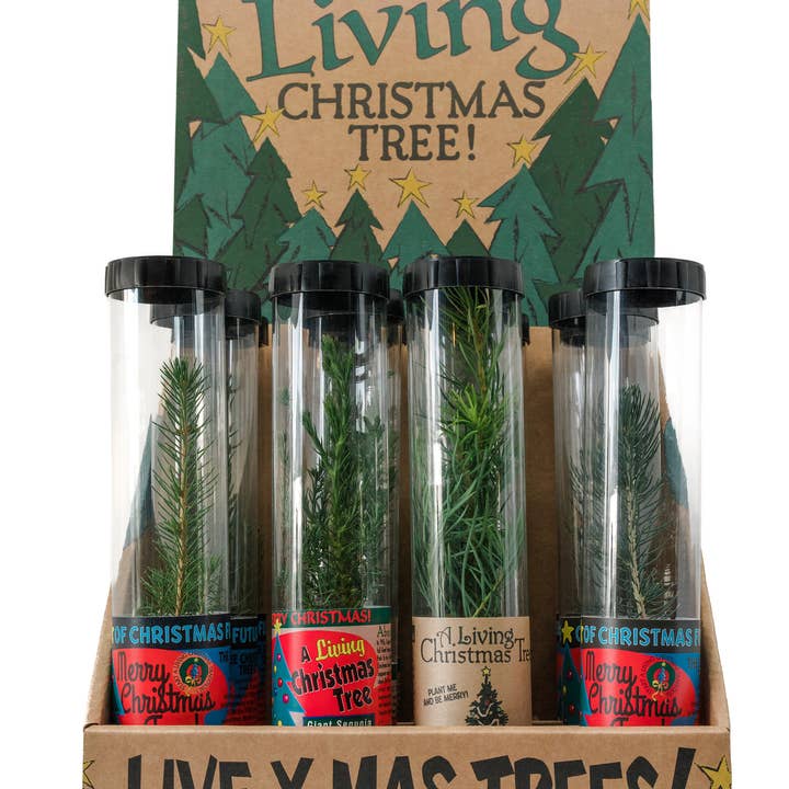 The Jonsteen Company - Wholesale Retailer Display - Home & Living - Christmas Tree Collection | 12 Live Trees w/ Display3