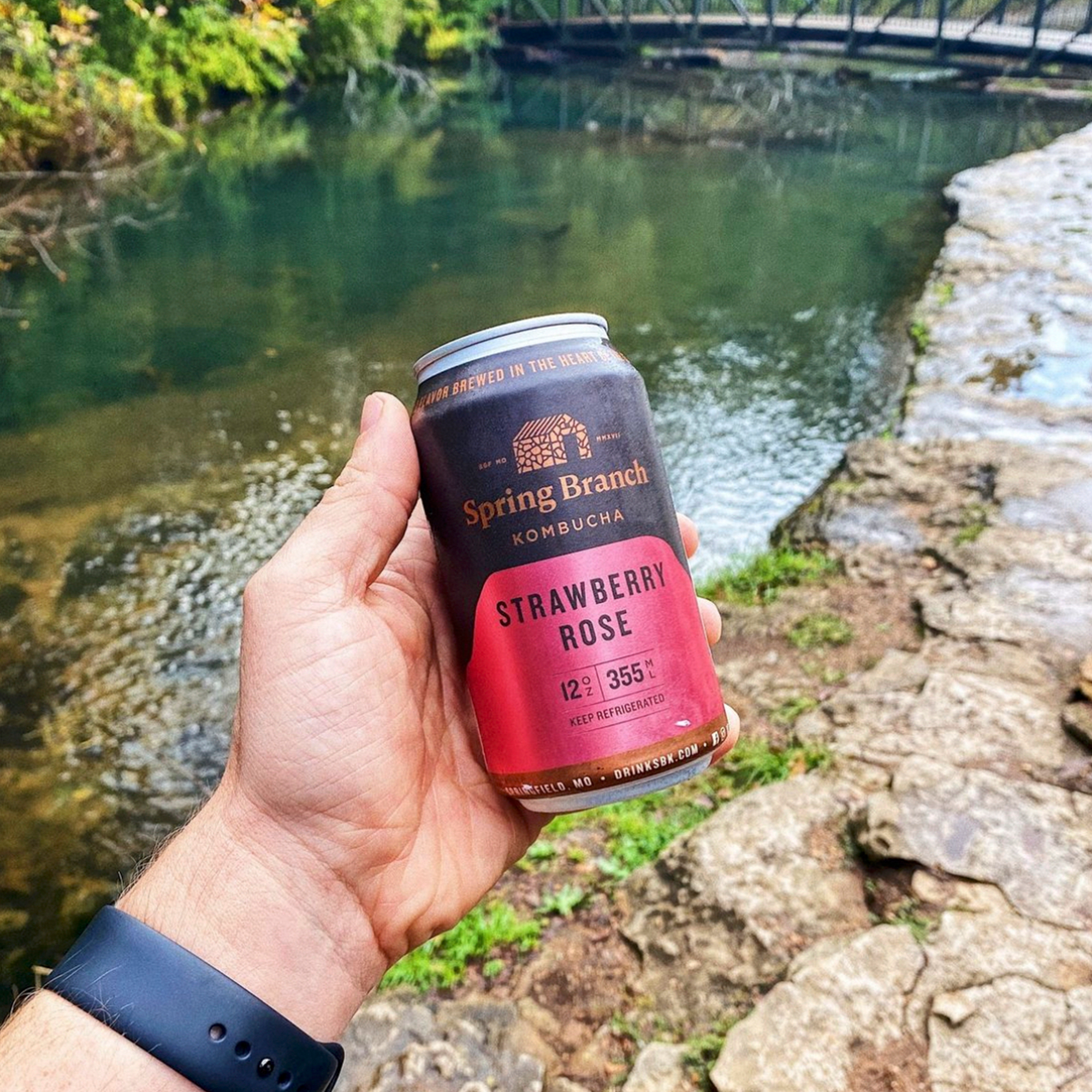 Spring Branch Kombucha - Wholesale Kombucha - Strawberry Rose Kombucha - Low Sugar, Gluten-Free, 12 oz1