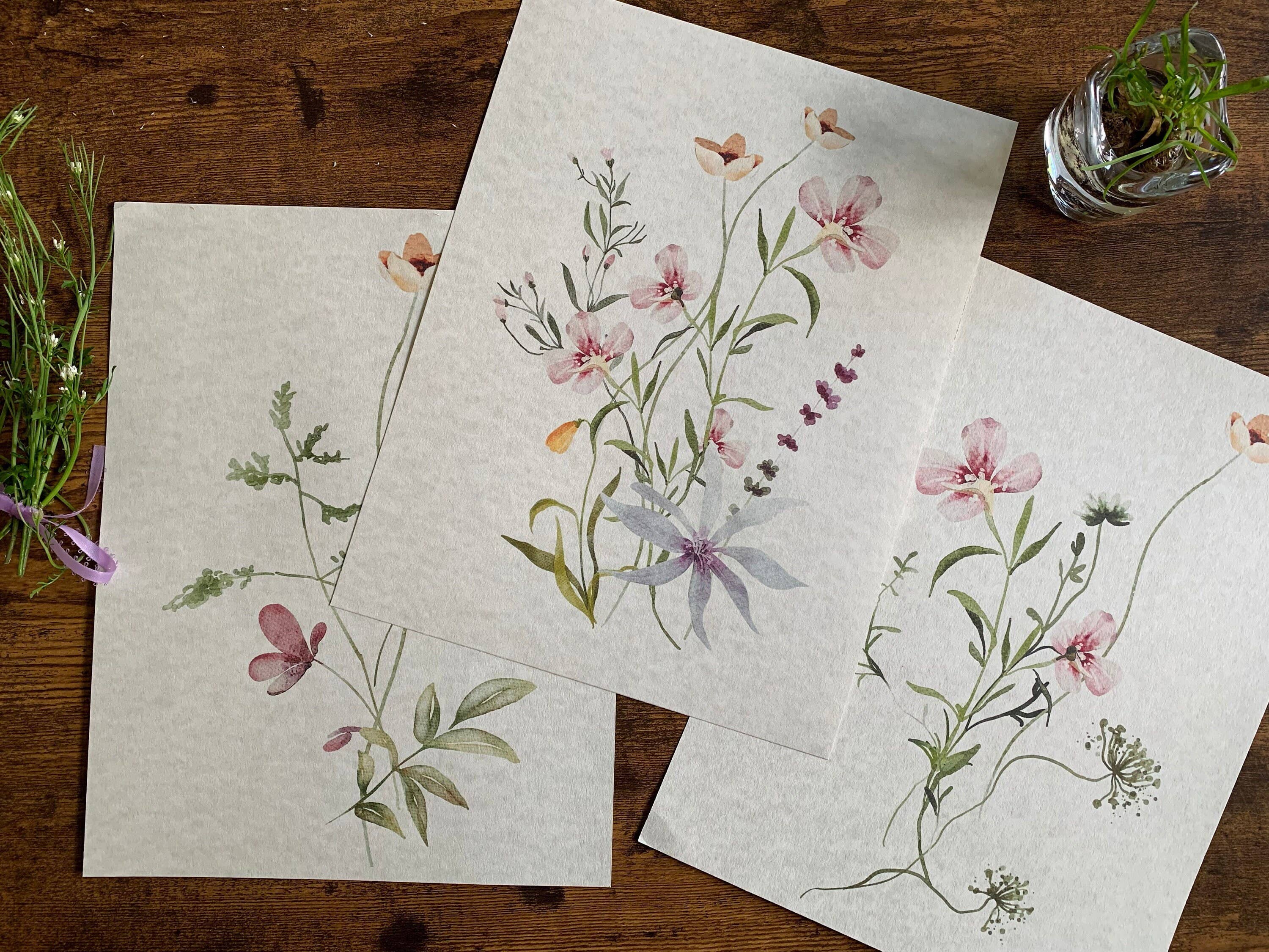 Magnifique Hearts - Wholesale Art Print - Set Of 3 Floral Art Prints, Delicate Botanical, Flowers, Pri0