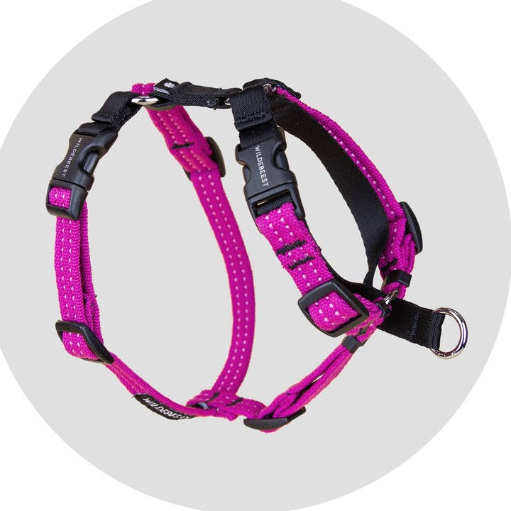 Valencia Geen Trektuig voor Honden voor wholesale door Wildebeest