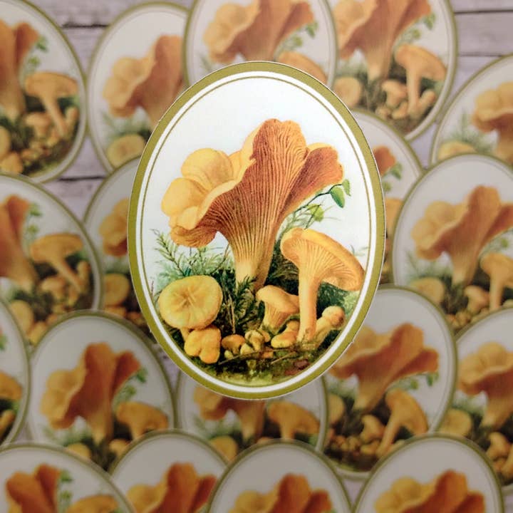 Golden Chanterelle Sticker for wholesale by Fable & Fen, LLC