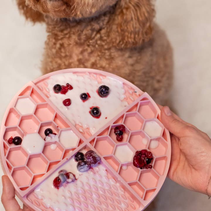 Dukier - Wholesale Pet Food Mat - Dog - PINK DOG LICK MAT4