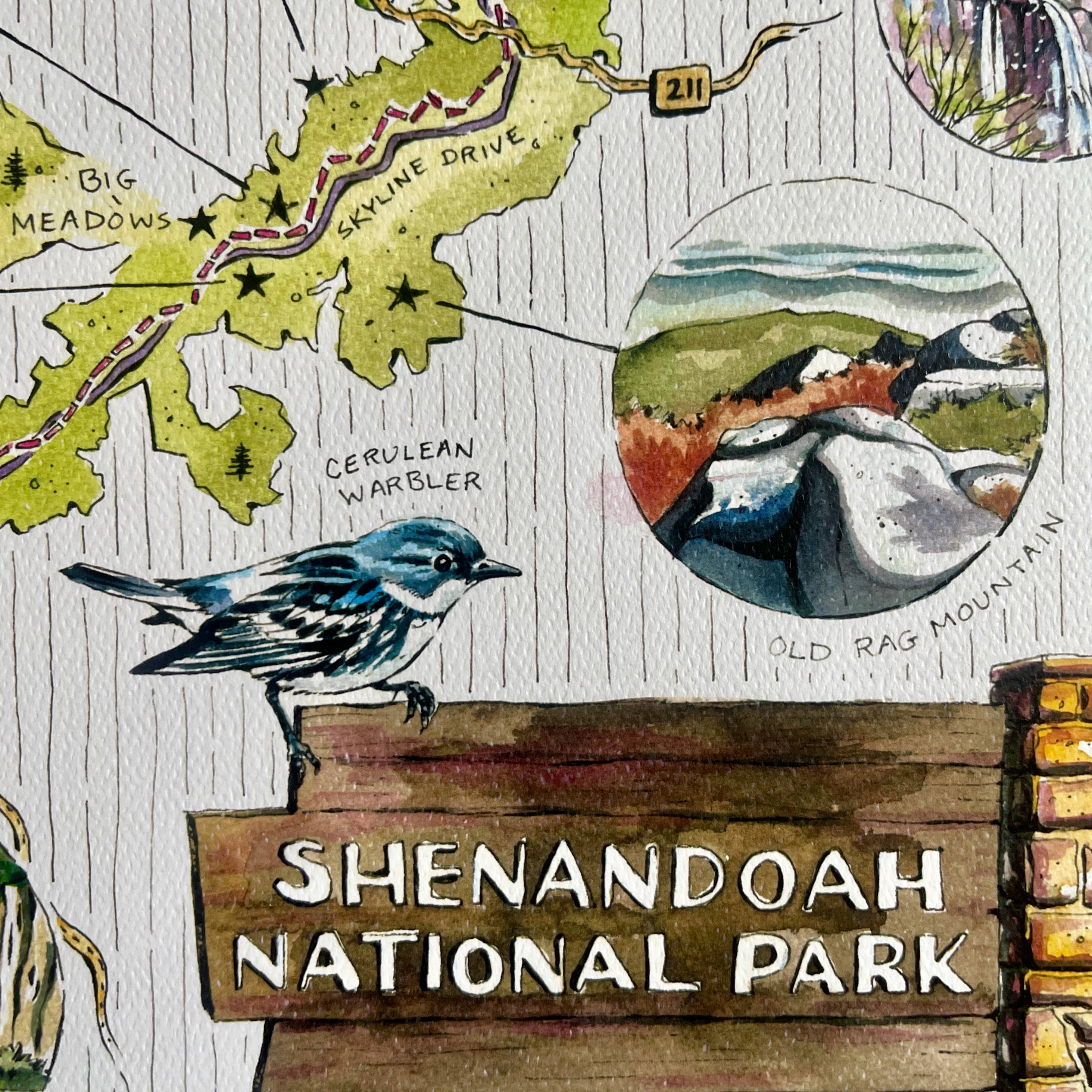 Rosalie Haizlett Illustration - Wholesale Map - Shenandoah National Park Illustrated Map2