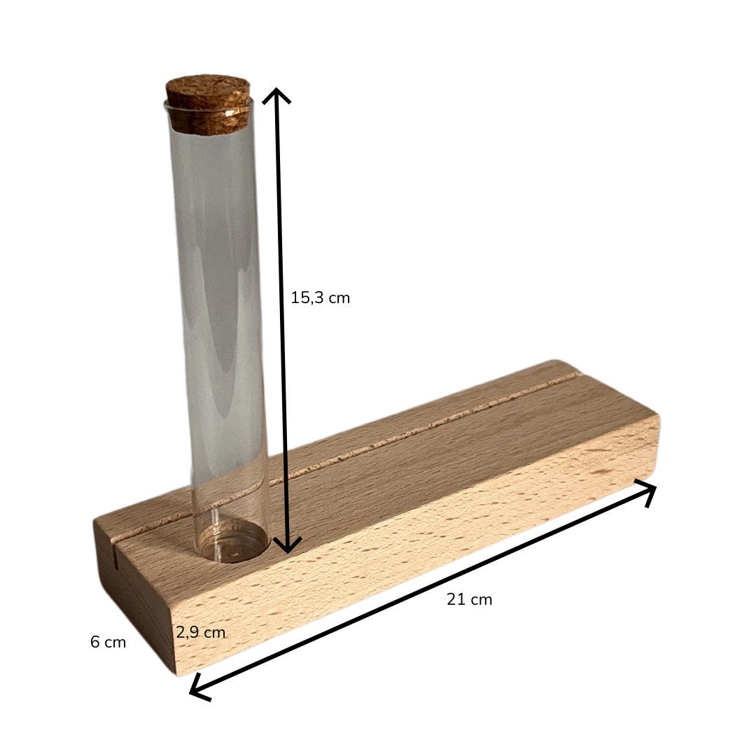 Kinderkoffertjes.nl - Wholesale Card Holder - Unisex - Wooden CARD HOLDER WITH test tube1