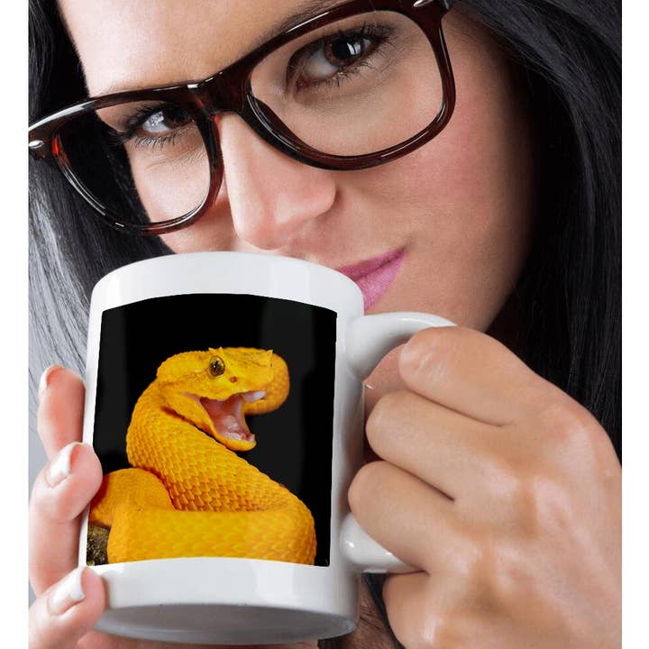 3dRose - Wholesale Coffee Mug - 3dRose, Eyelash Viper snake - NA02 DNO0896 - David Northcott, Mug9