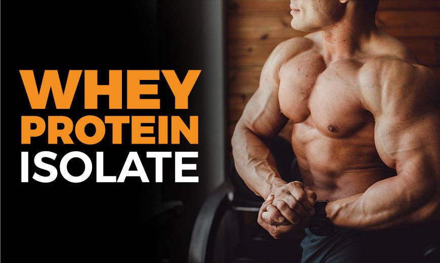 Puriva Nutrition – wholesale Protein/superfood powder – Protein powder, Whey Protein Isolate, plain, 1 pound, Puriva Nutrition9