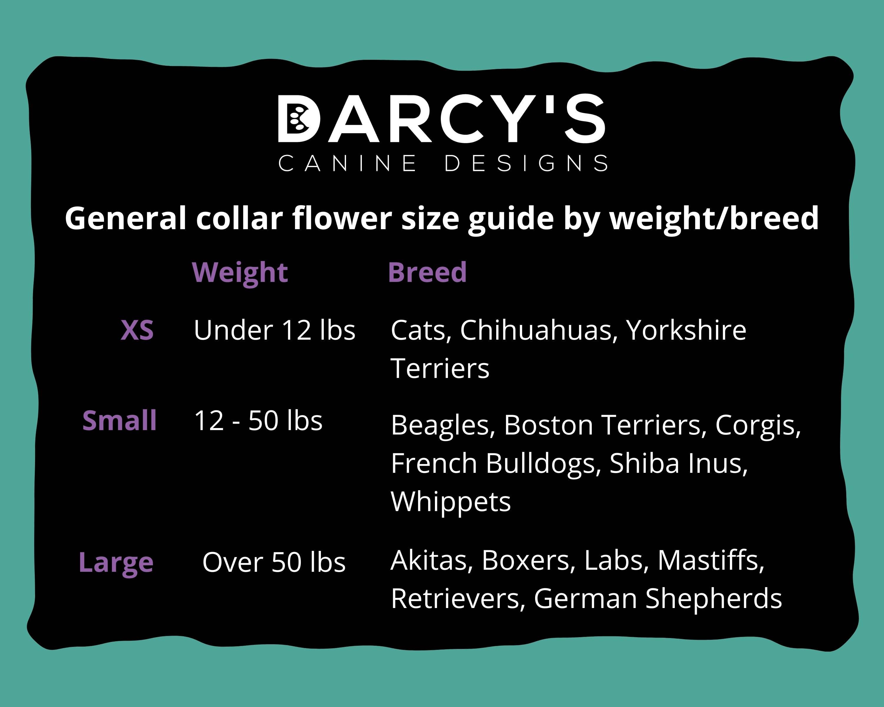 Darcy's Canine Designs - Wholesale Pet Collar - Dog - Red Poppy Collar Flower Pet Accessory6