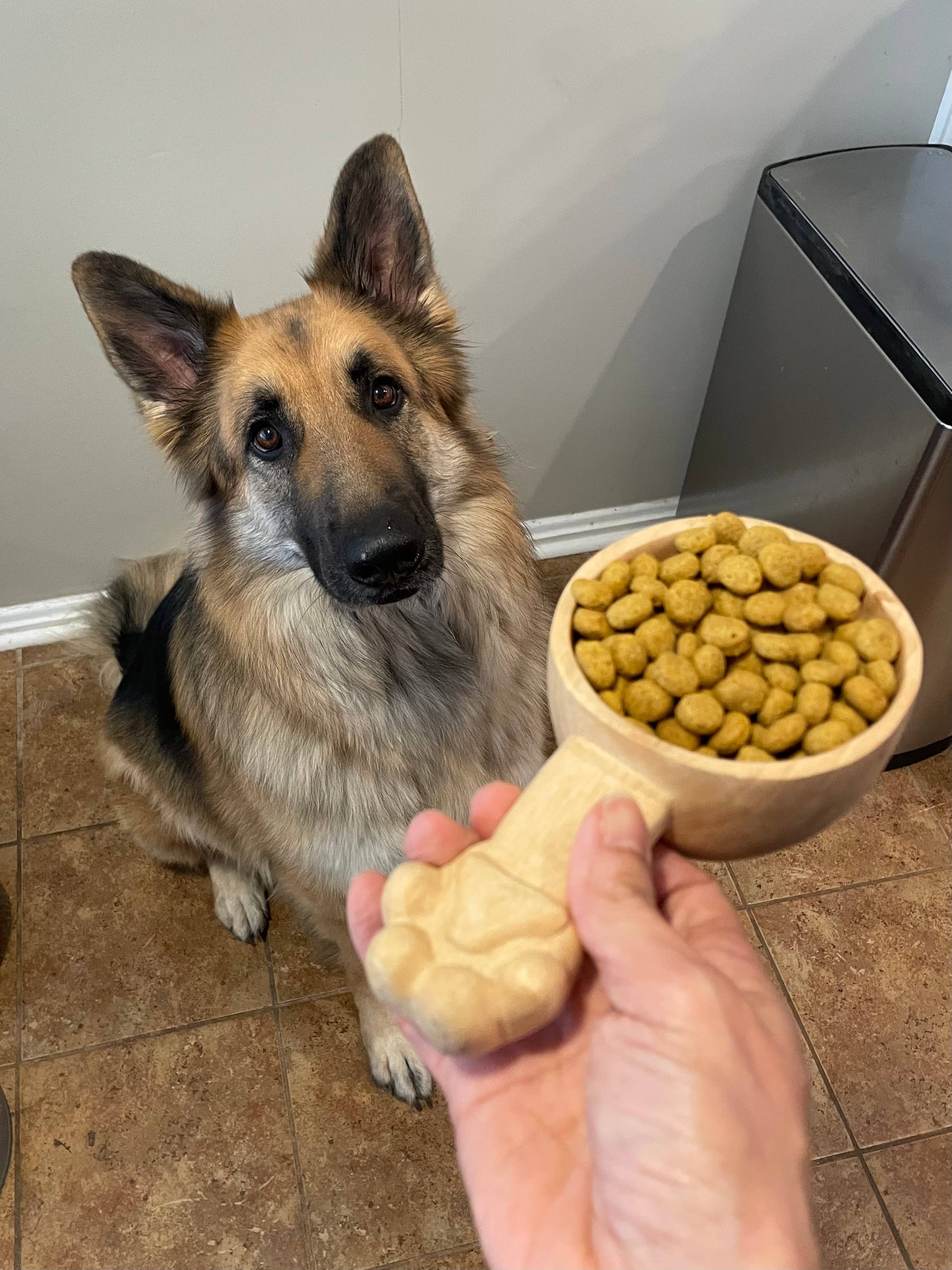 Azizi Life - Wholesale Pet Bowl - Cat/Dog - Hand-Carved Wooden Dog Scoop1