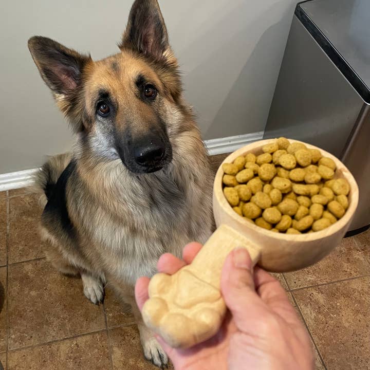 Azizi Life - Wholesale Pet Bowl - Cat/Dog - Hand-Carved Wooden Dog Scoop1