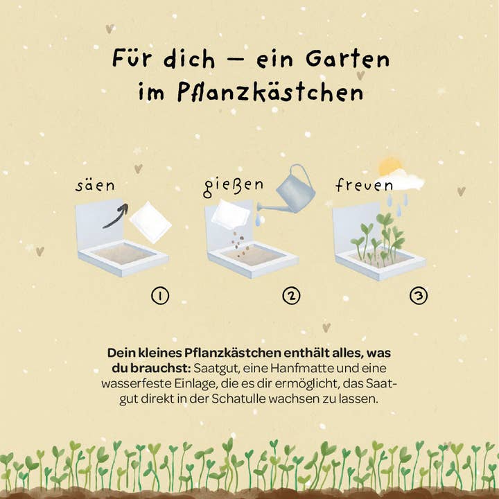 TDJ Stadtgärtner GmbH - Wholesale Plant Seeds - Planter box - Indispensable3