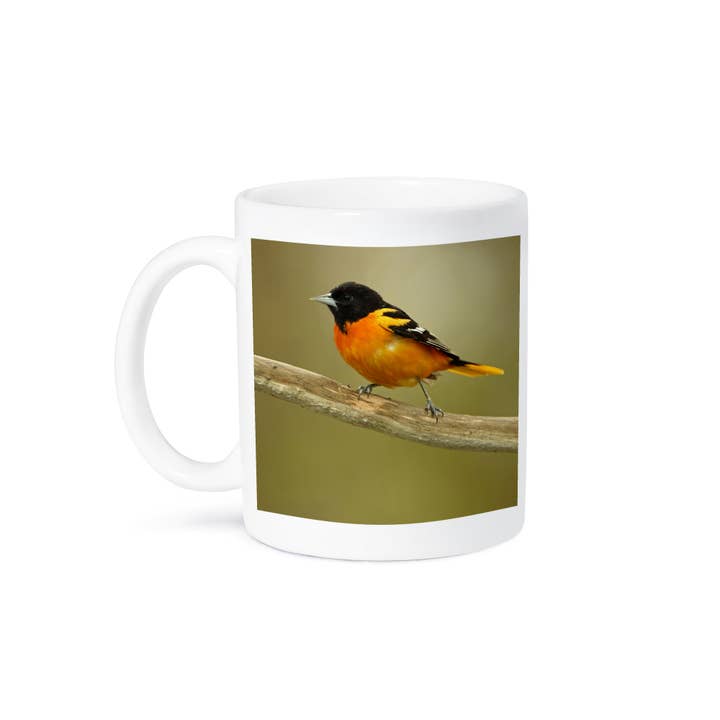 3dRose - Wholesale Coffee Mug - 3dRose, Rondeau Provincial Park. Baltimore oriole on branch., Mug8