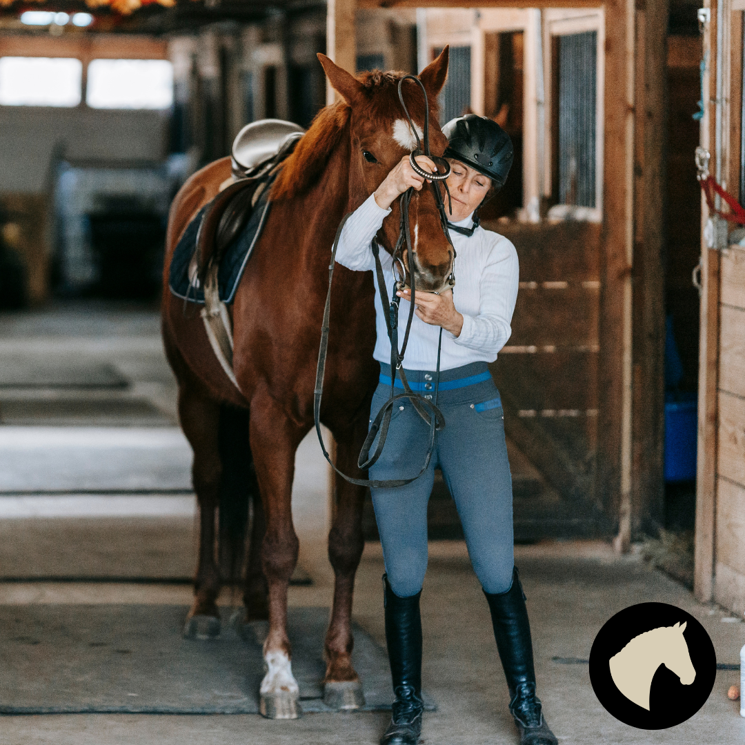 arbOUR - Wholesale Multi-Surface Cleaner - Safe Stable1