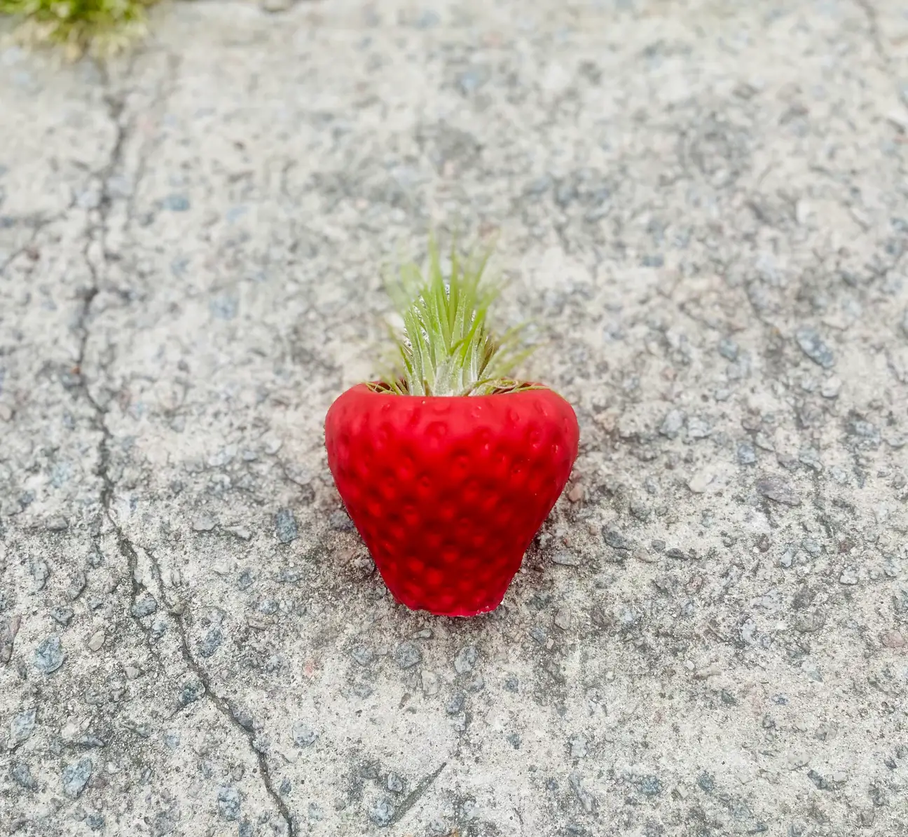 Queen City Crete - Wholesale Plant Pot - Succulent strawberry planter 1