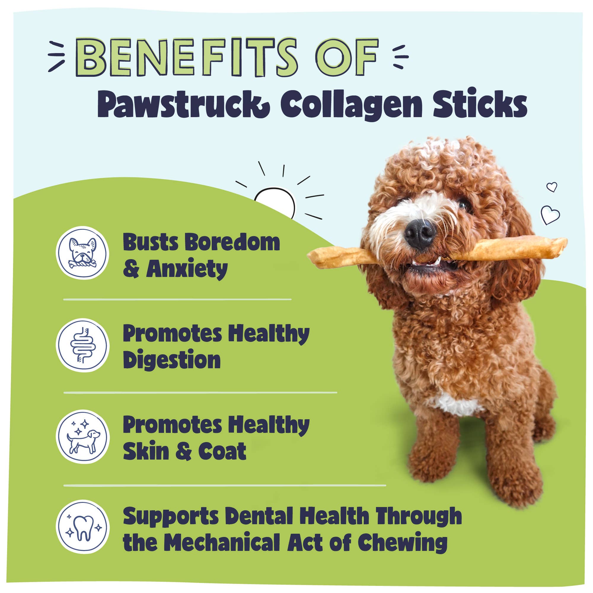 Pawstruck - Wholesale Pet Treats - Dog - Natural Beef Collagen Chew Sticks for Dogs & Puppies1