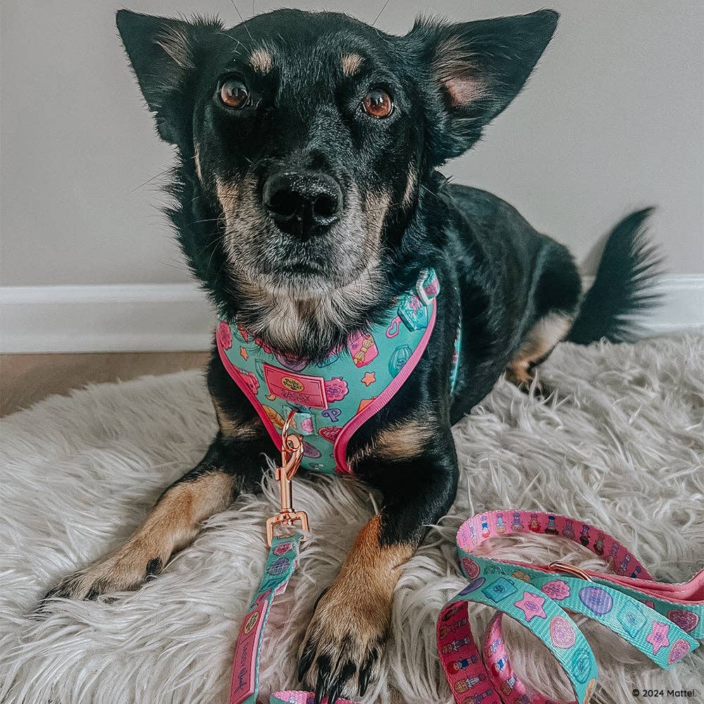 SASSY WOOF - Wholesale Pet Leash - Dog - Dog Leash - Polly Pocket™5