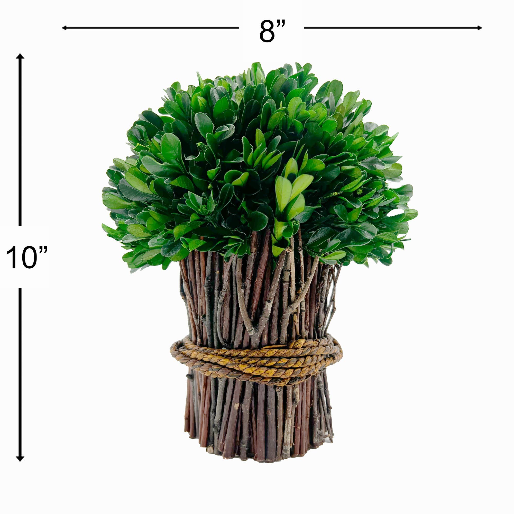 2626 Designs - Vente Plantes artificielles - Plante topiaire décorative sur pied en buis préservé de 10 pouces1