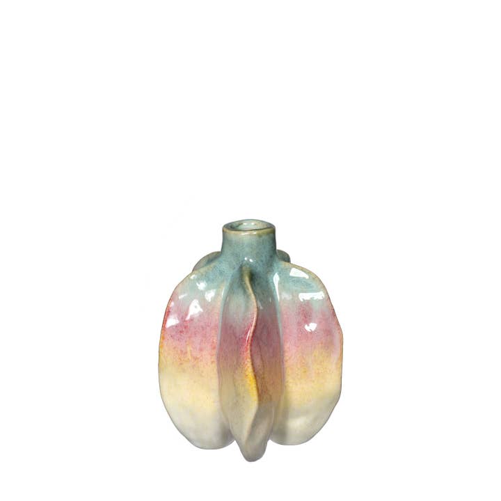 DRYdecorations - Wholesale Vase - Rainbow Carambola vase1