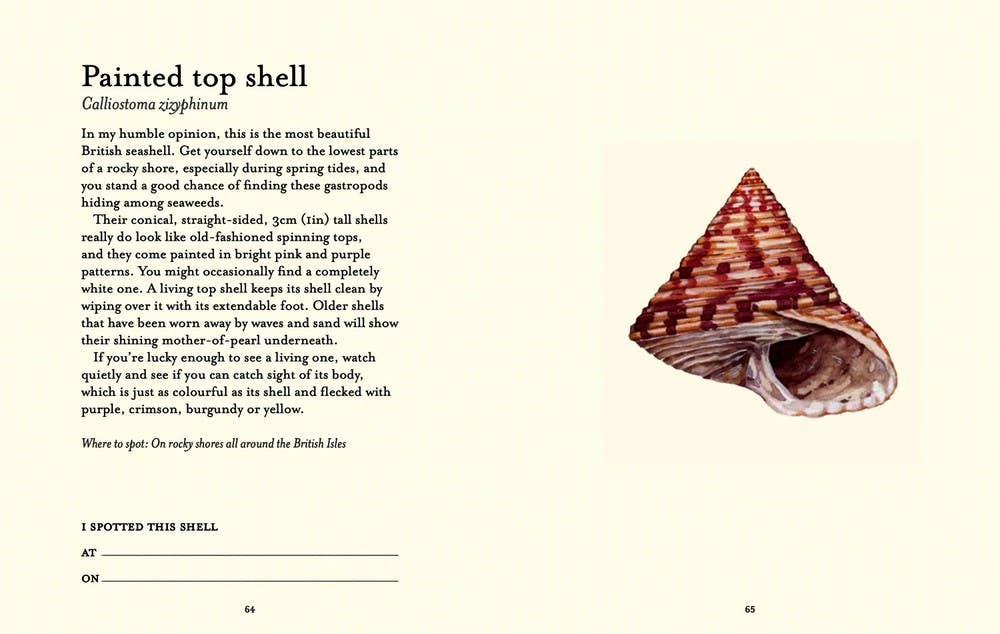 Independent Publishers Group - Wholesale Nature & Outdoors - Shell-spotter’s Guide6
