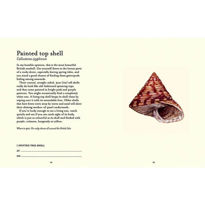 Independent Publishers Group - Wholesale Nature & Outdoors - Shell-spotter’s Guide6