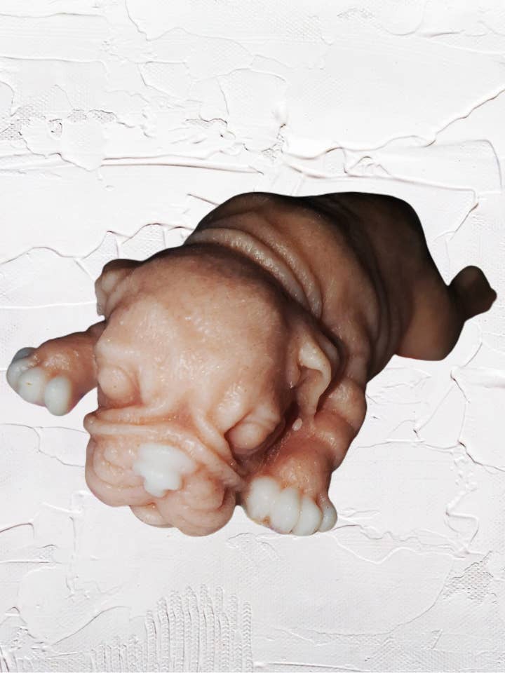 Major the puppy for wholesale by Rrs luxury aromas