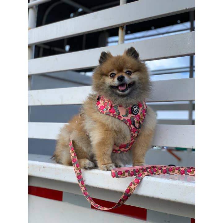 Luna & Lady Design Co. - Vente Harnais – chien - Harnais pour chien best-seller « Southern Belle » de qualité4