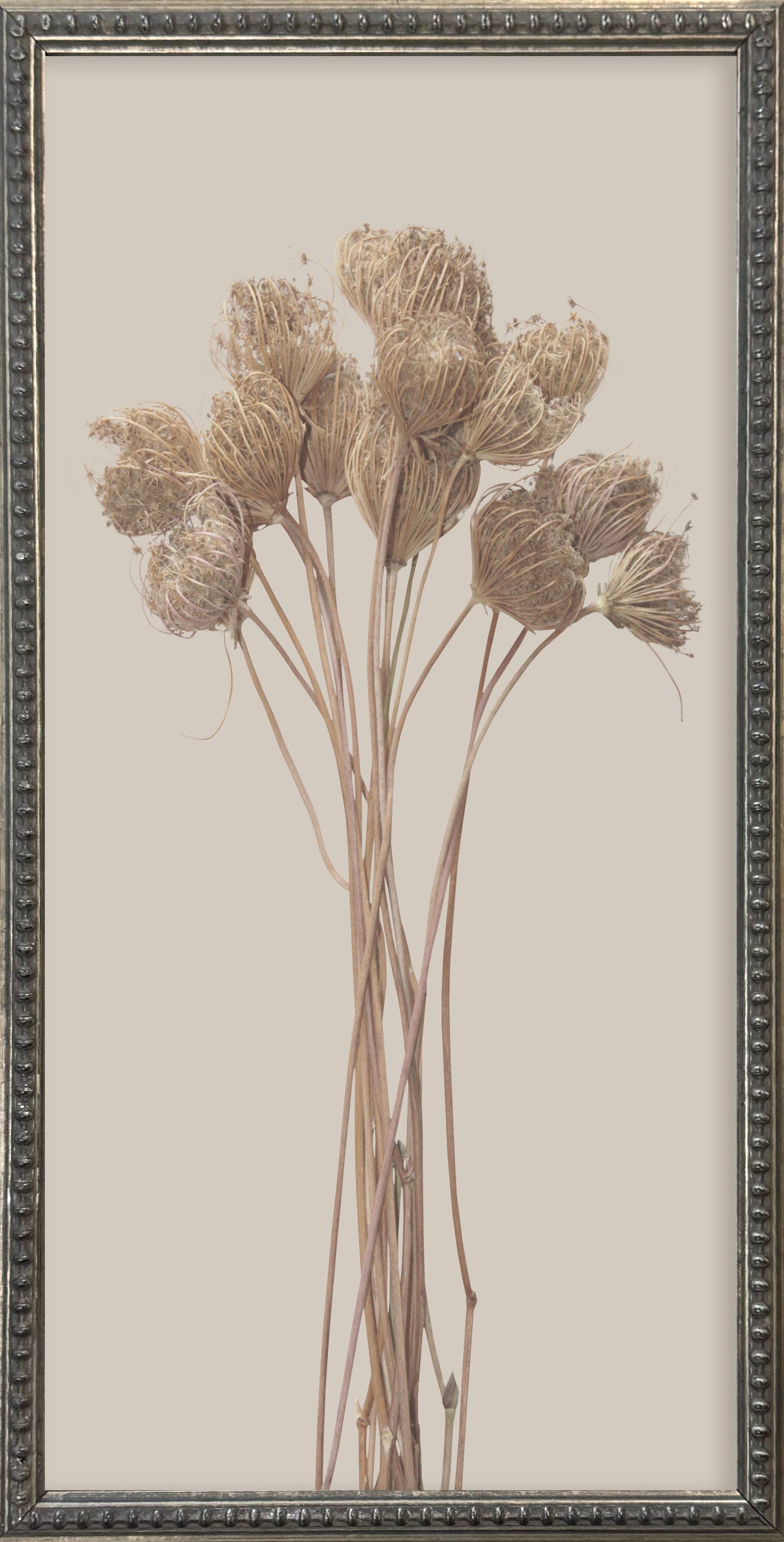 Brayden and Brooks – wholesale Gallery wall set – 12x24 Textured Botanicals Silver Bead Gallery Frame3