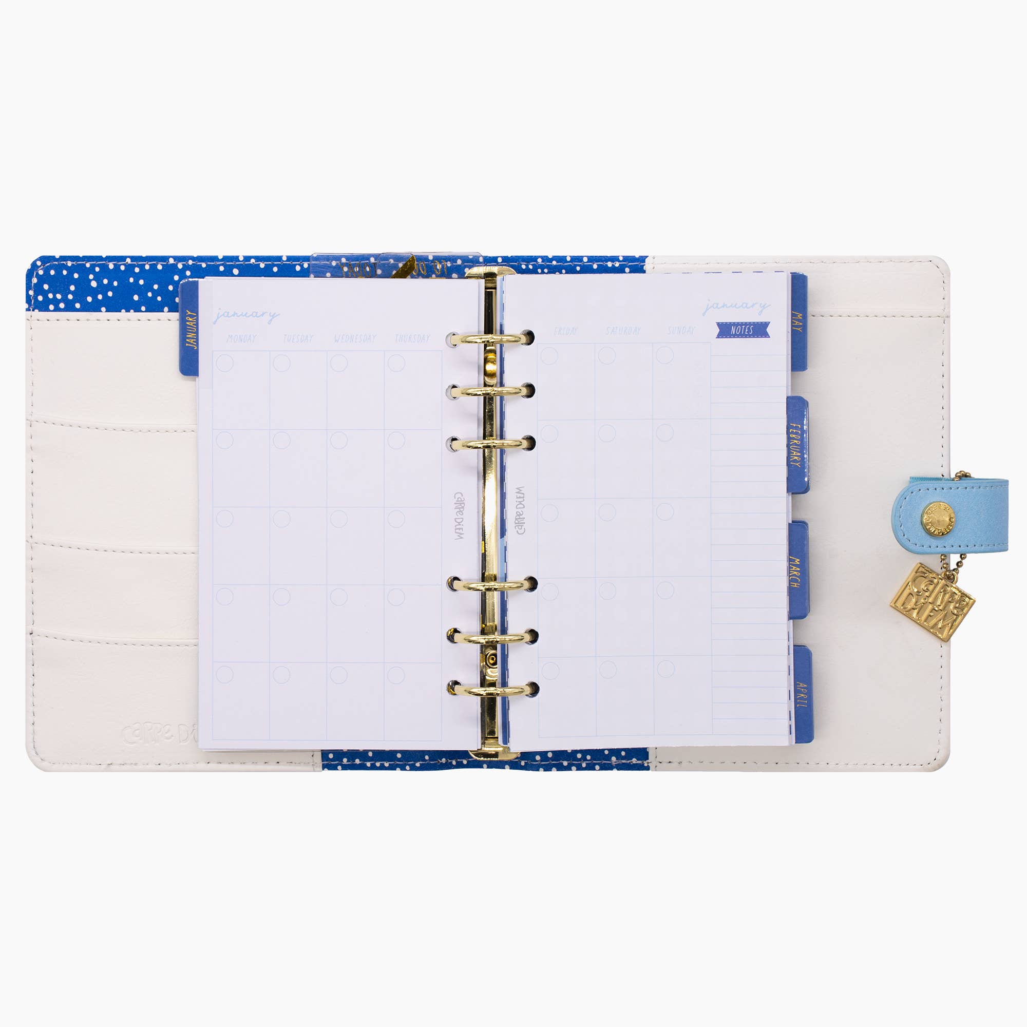 Pukka Pads North America - Wholesale Planner - Carpe Diem Personal Planner Boxed Set5