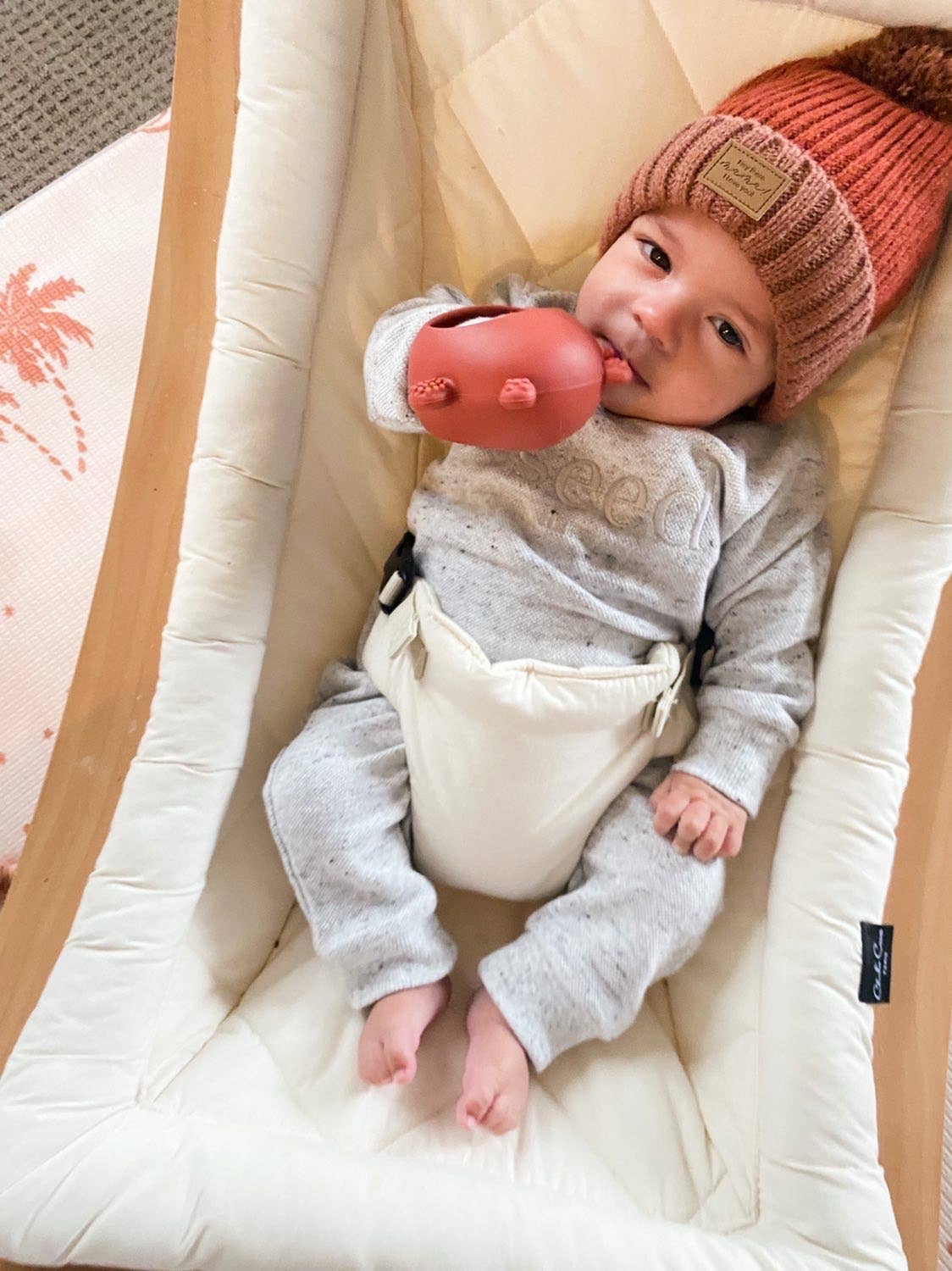 Zebra Babies - Wholesale Teether (not clip-on) – Baby - Silicone Bear Teething Mitten5