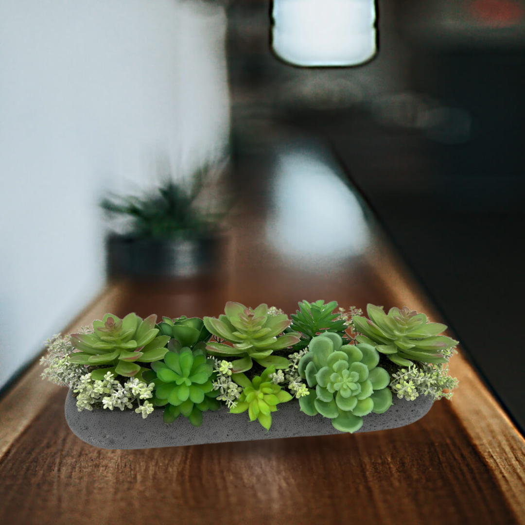 Concepts In Time - Wholesale Succulent - Concepts Succulent Trough – 16" Long Cement Planter1