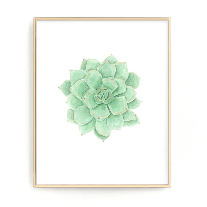 Grön Suckulent Tryck för wholesale av Emilie Taylor