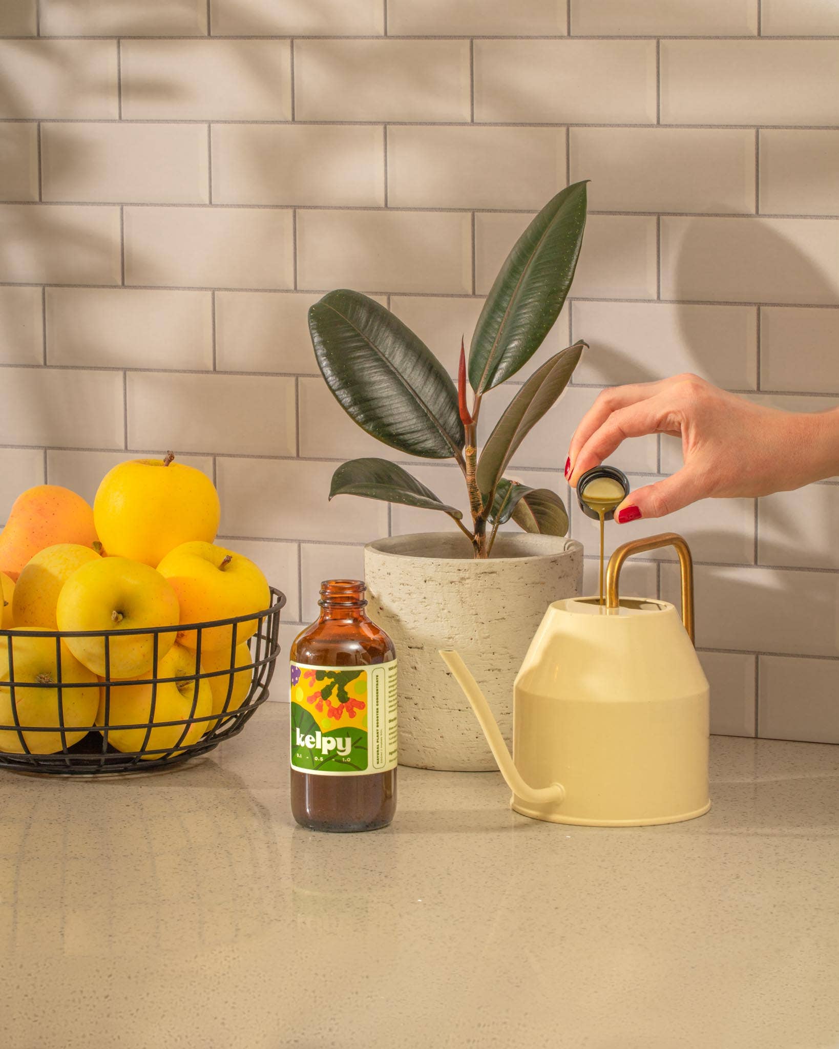 Kelpy - Wholesale Fertilizer - Kelpy Plant Food 250ml/ 8.5 fl oz "Green Thumb Size"5