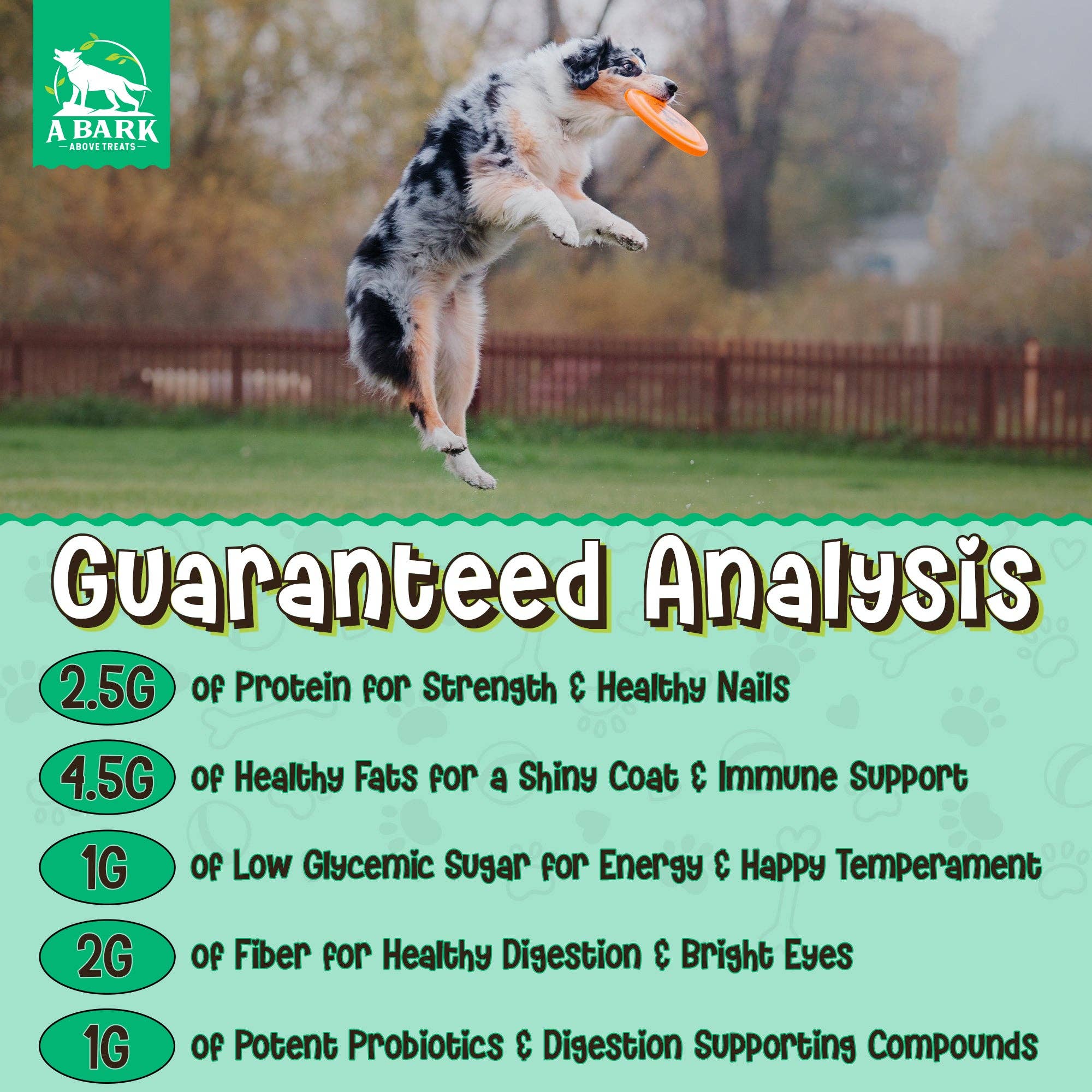 A Bark Above Treats - Wholesale Pet Treats - Dog - Zoomie Butter: Gut & Digestive9