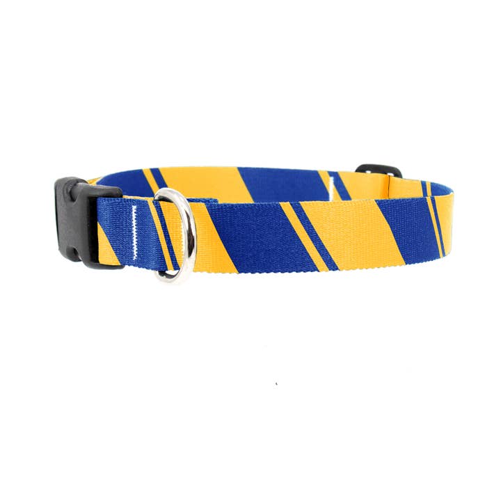 Collier pour chien Sporty Blue Yellow - Fabriqué aux États-Unis pour la vente par Buttonsmith