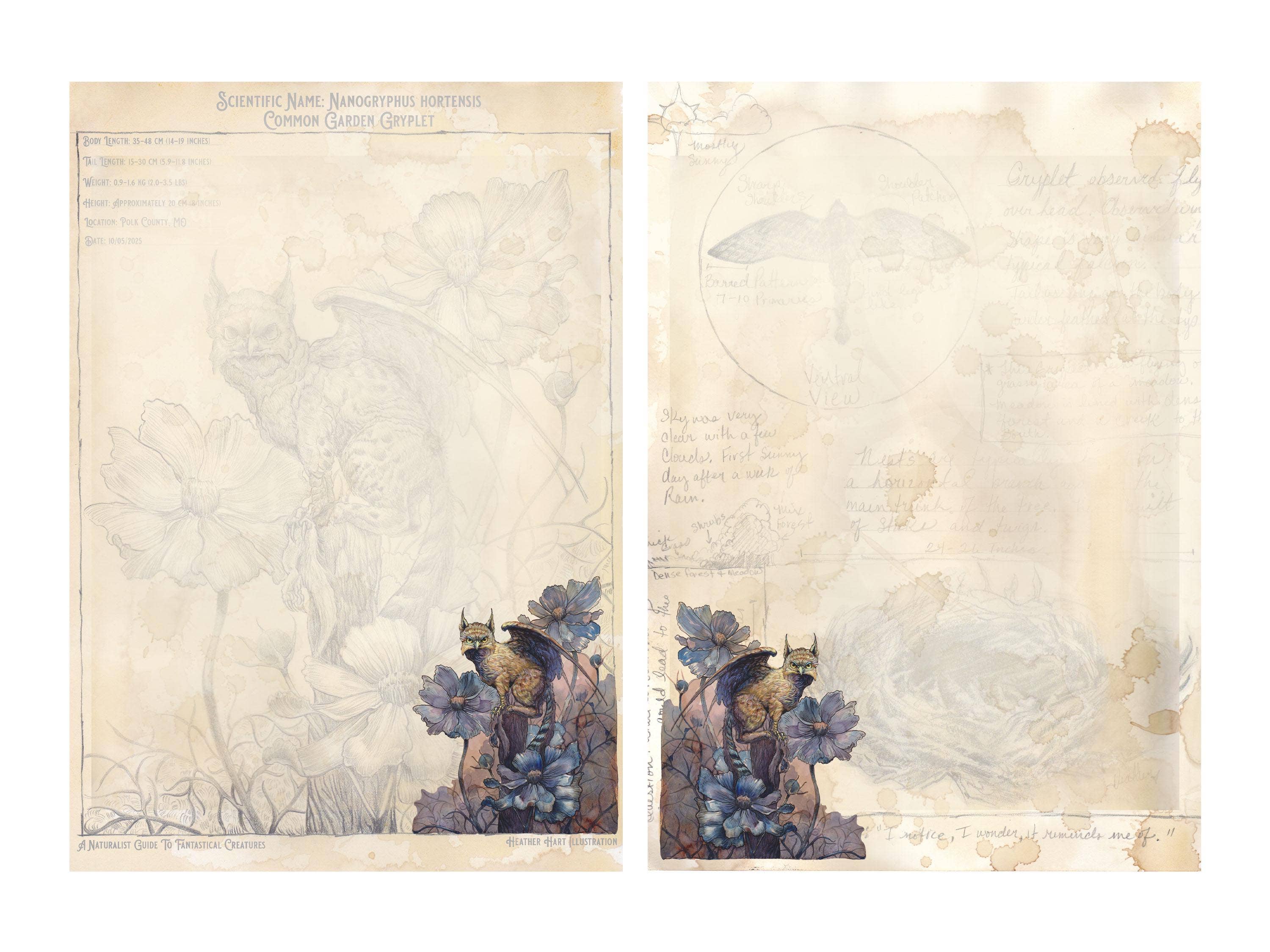 Wings of Fantasy - Wholesale Stationery/Notecard Set - Dark Academia Notepaper Set | Vintage Gryphon Art | A Naturalist's Guide to Fantastical Creatures | Complete Writing Kit1